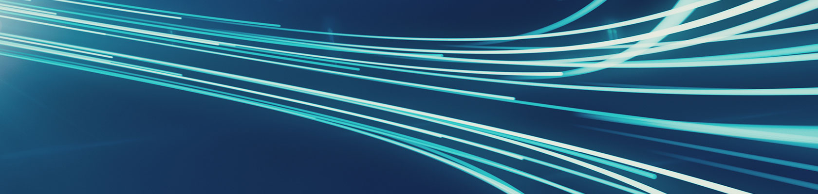 Laying the foundations: Five sustainability challenges for renewable energy and subsea cable projects