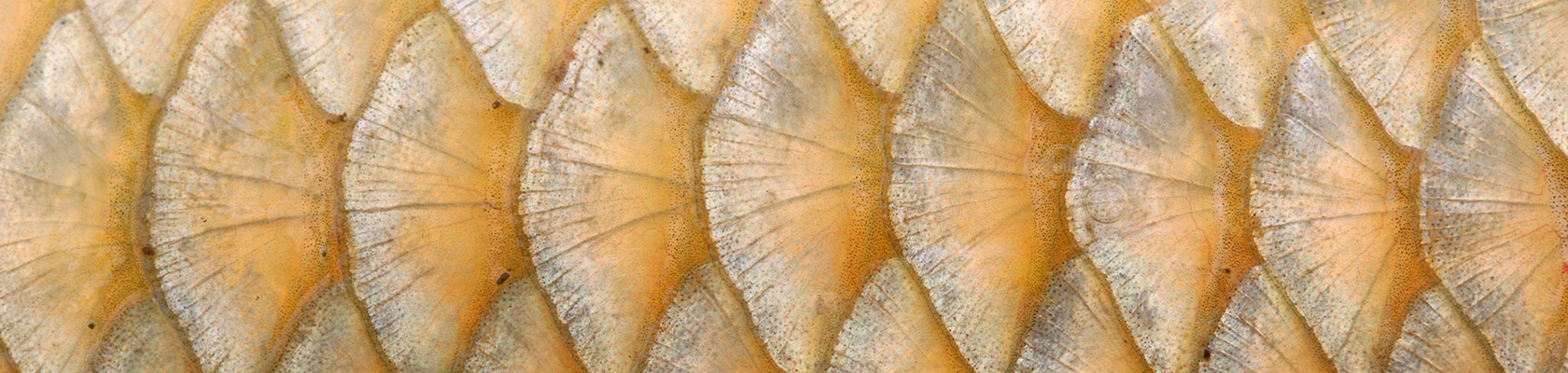 ERM Aquatic Toxicology Services in the United States