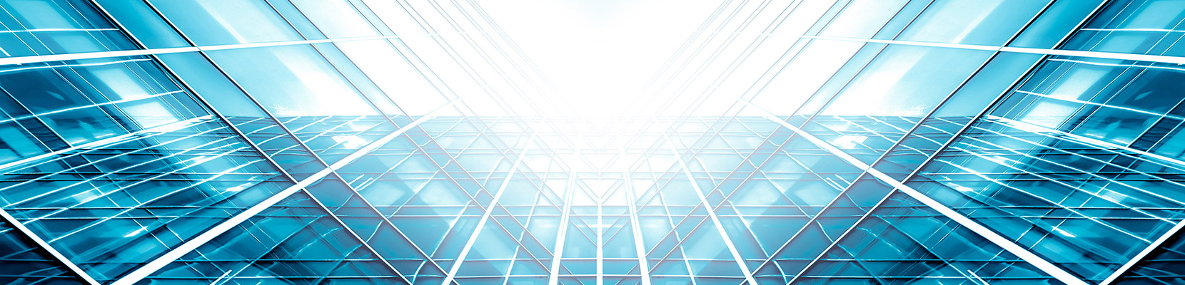 ERM Perspectives: Operational Performance