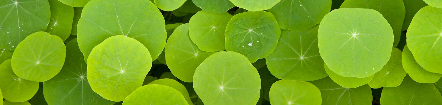 Assessing and Improving Sustainability Outcomes