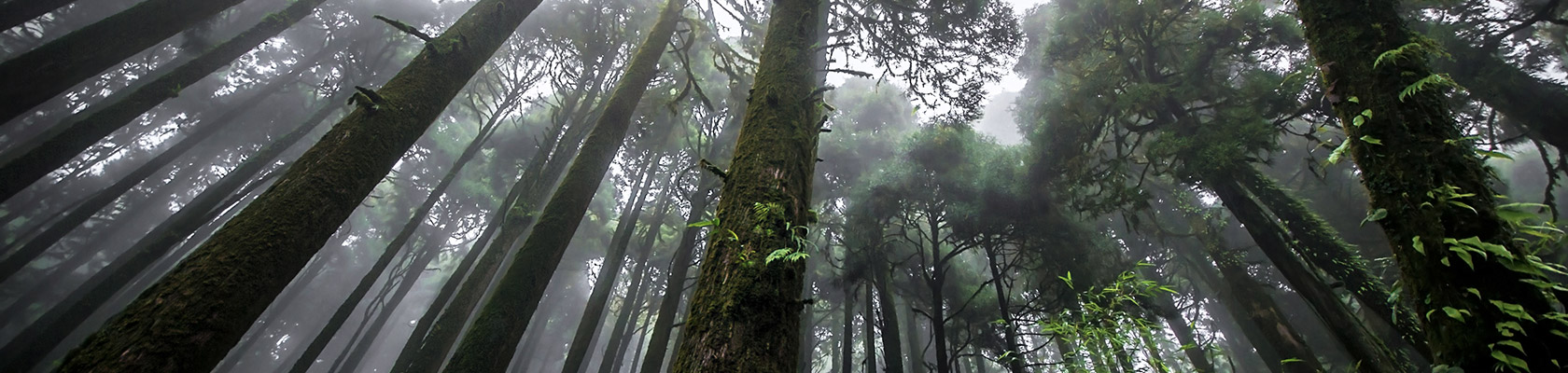 CDP India Climate Change Report 2017, co-authored by ERM