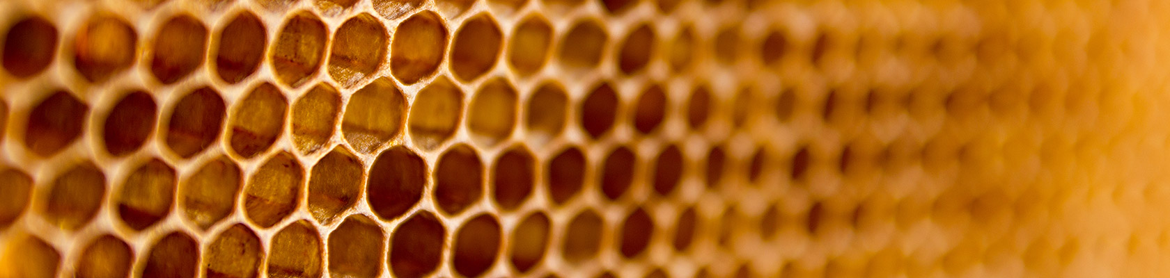 ERM Global Product Stewardship Services