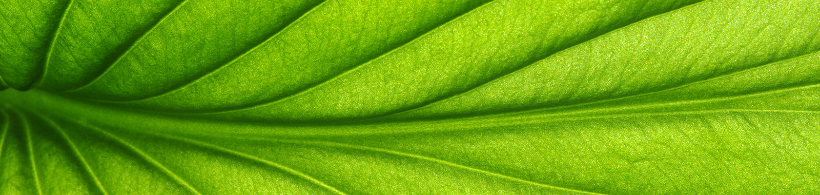 The ESG Roadmap for boards, corporate secretaries and governance professionals co-authored by BrownFlynn, an ERM Group company