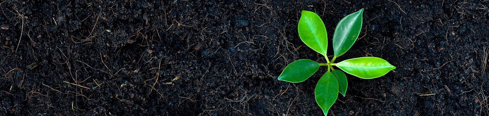 Implications of the Soil Pollution Prevention Law on Industrial Facilities in China