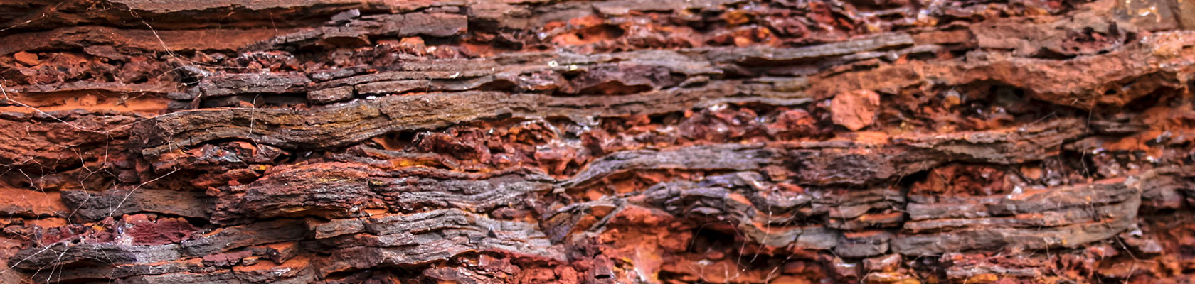 A break-down of social capital: five lessons for other firms from Rio Tinto’s Juukan Gorge crisis