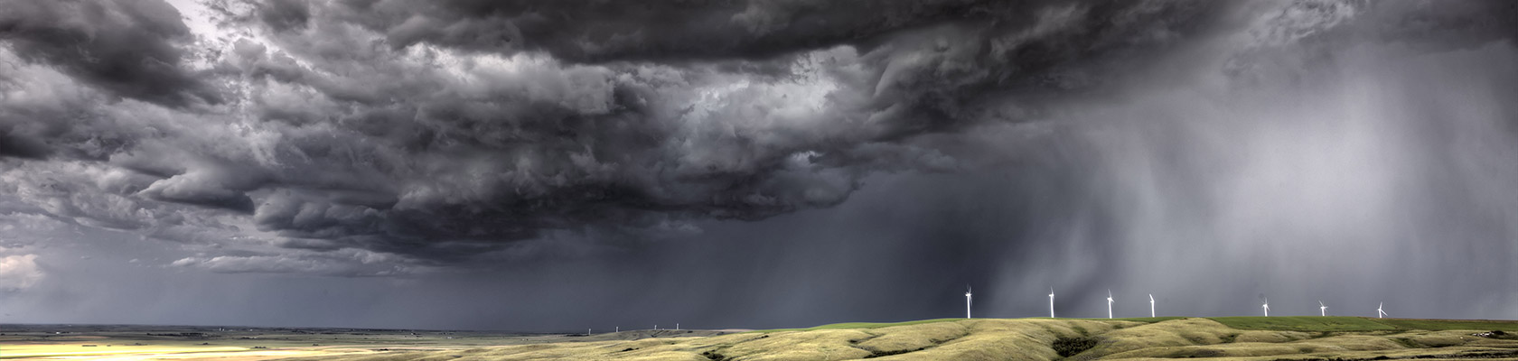 Managing Risks Under Stress: Challenges for Senior Executives