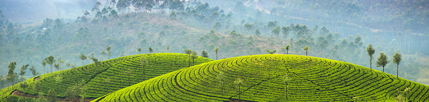 Environmental Compliance in India through an Auditor’s Lens