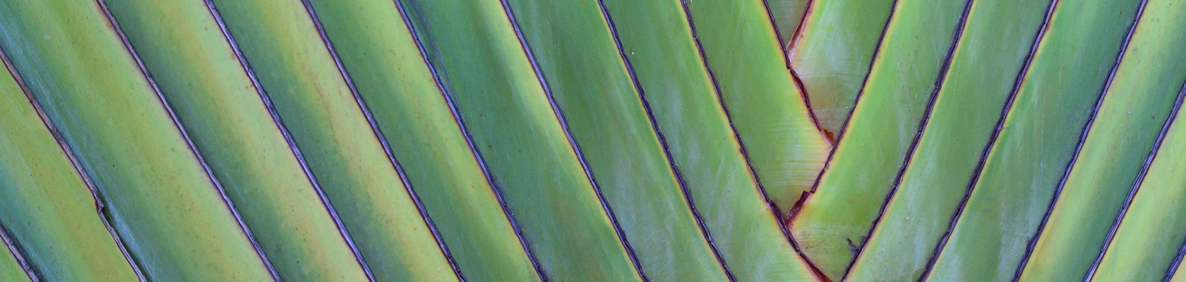 Demonstrating how getting ESG right truly affects operational value creation