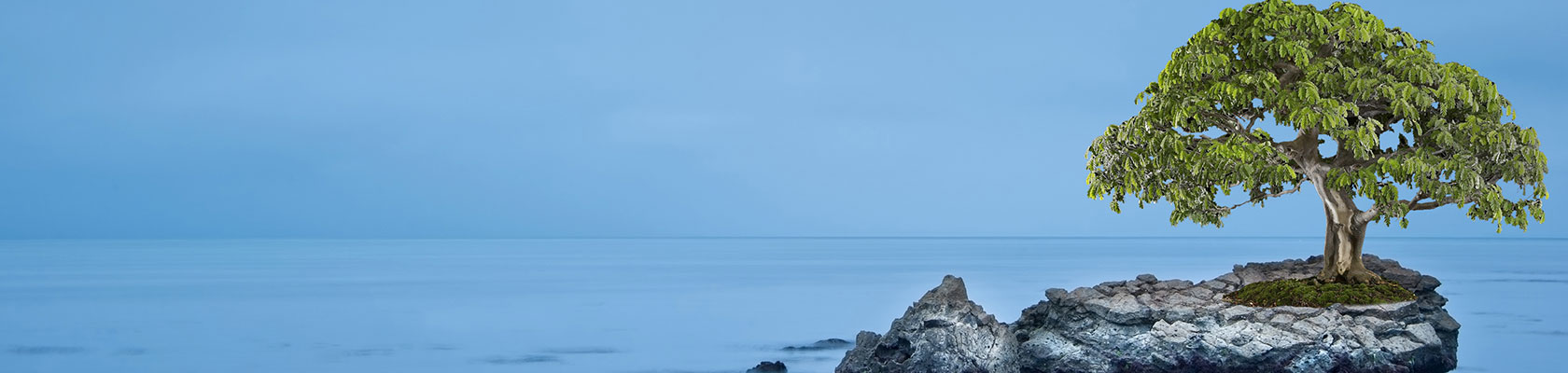 Rethinking Resilience in Business