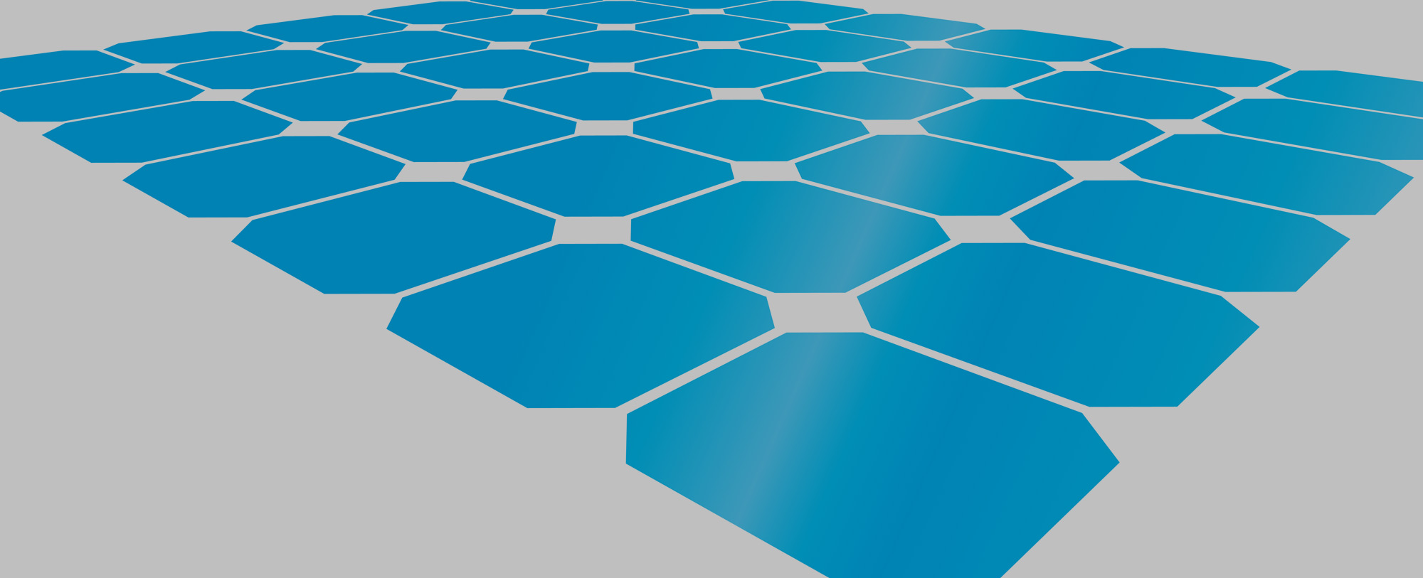 What the Community Solar Customer Wants
A New Special Report from SEPA and Shelton Group