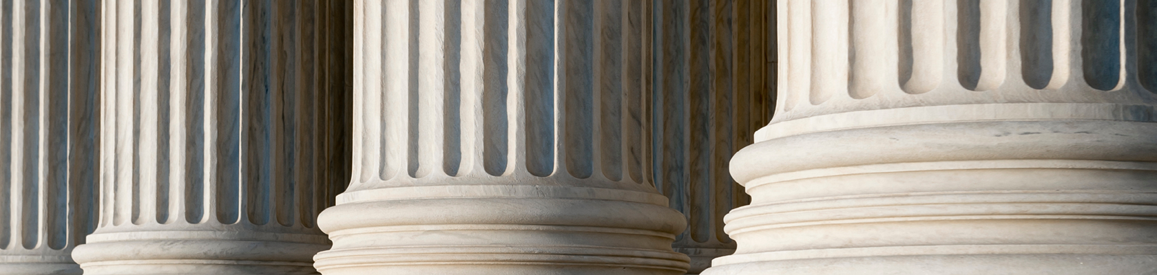 GlobeScan / ERM Sustainability Institute Pulse Survey: Government Action