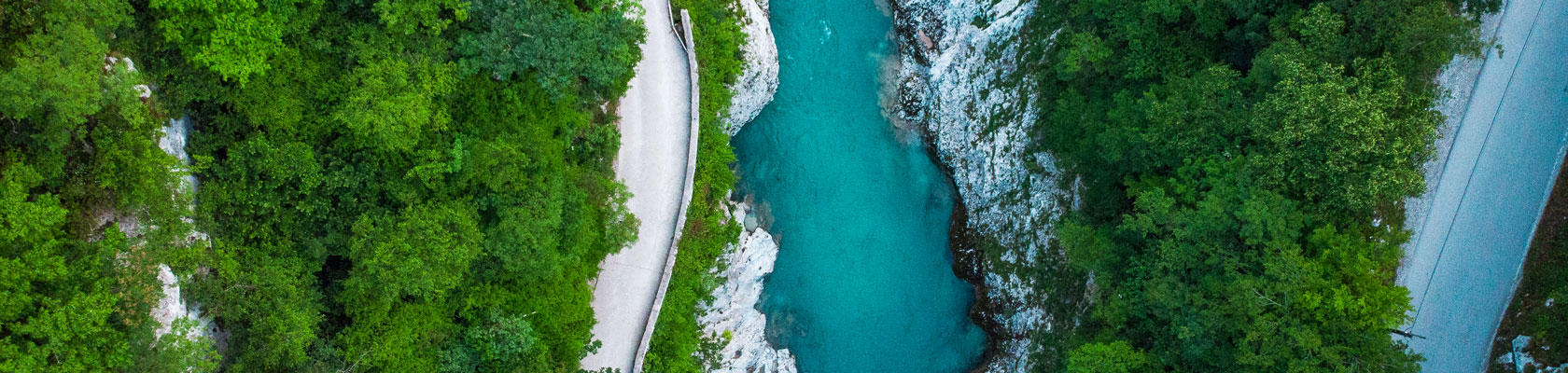 Takeaways: COVID-19. Sustainability. What’s Next?