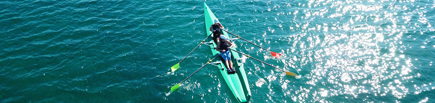 Green New Deals: The Role of Business