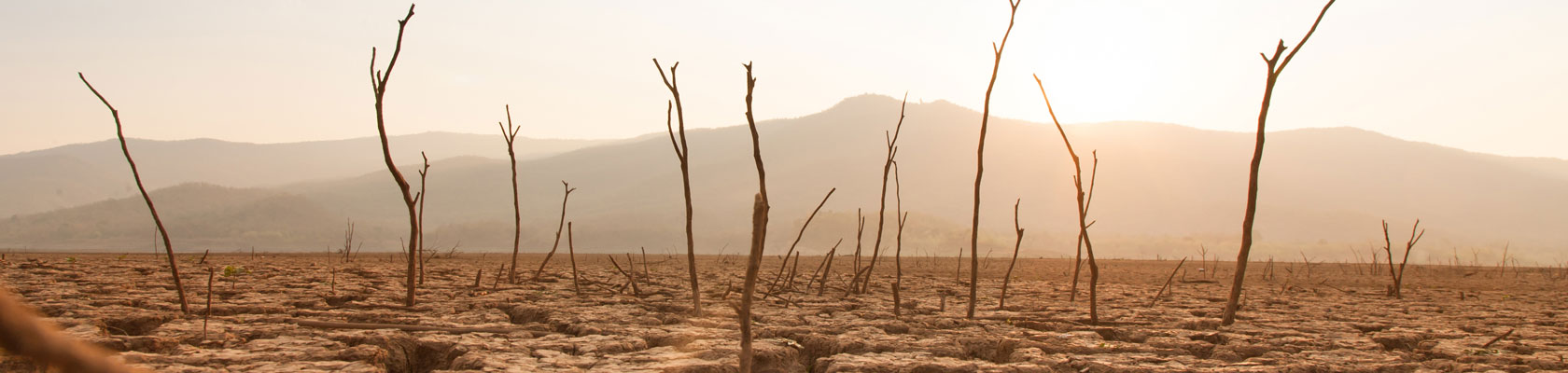 SustainAbility at the Global Climate Action Summit: Climate Resilience