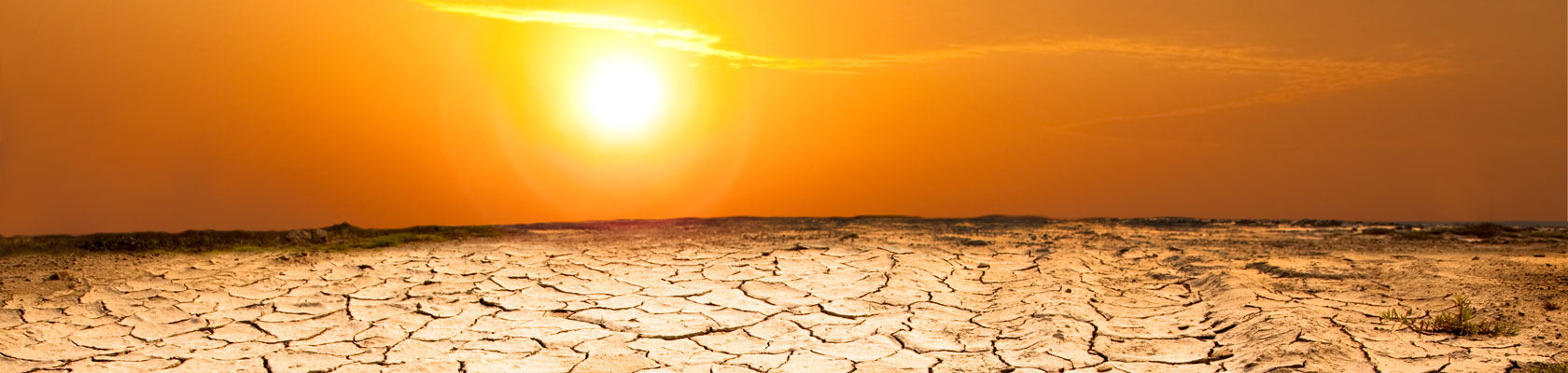 Sustainability Professionals Are Crisis-Ready