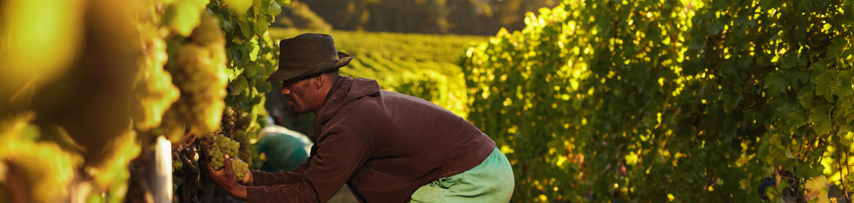 Evaluating Progress Towards the Sustainable Development Goals