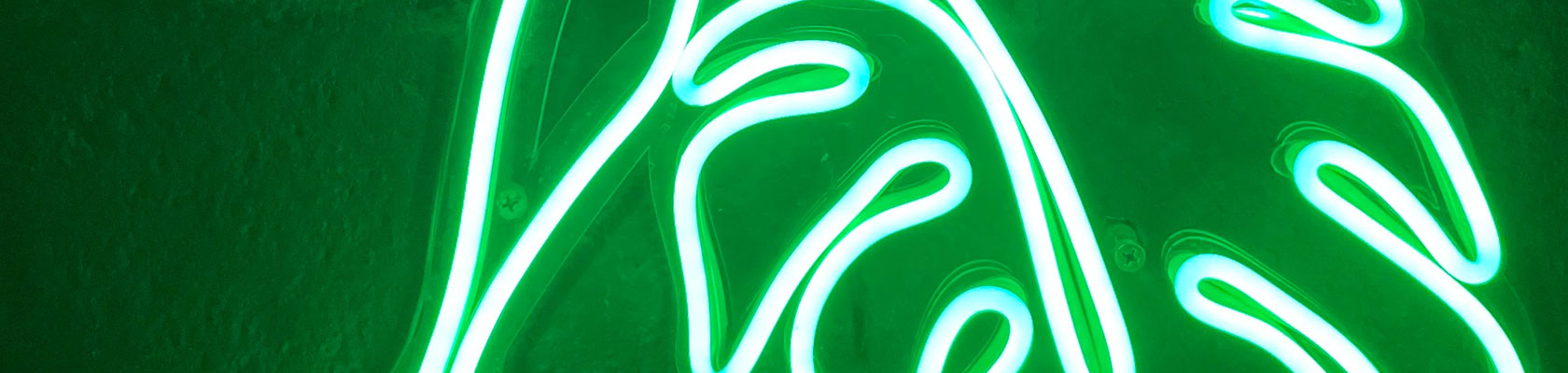 An interview with Suzano