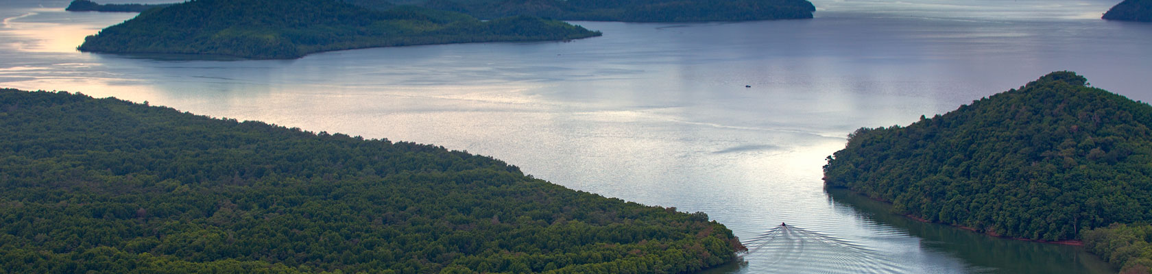 COVID-19: A Note from SustainAbility