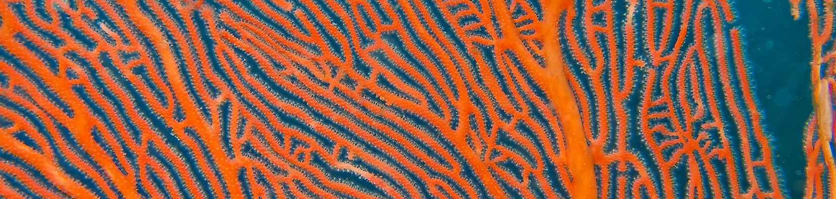 Preparing Your Company for the Nature Agenda