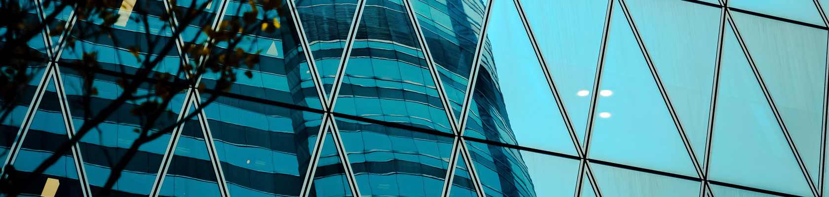 Webinar: Build Back Better Series