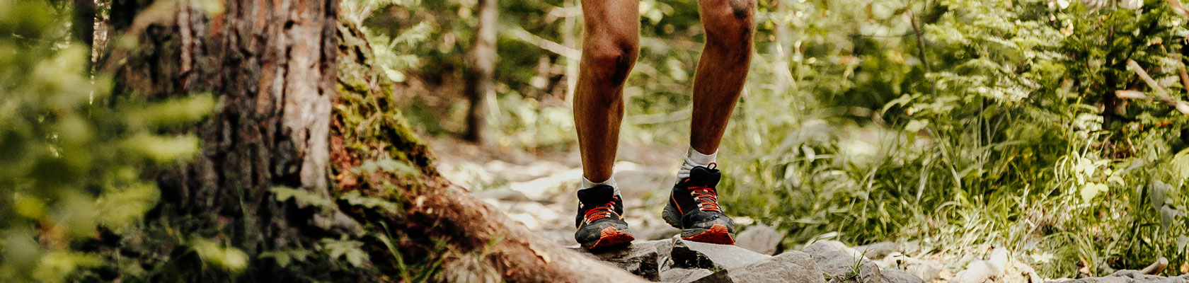 The 2020 Sustainability Leaders