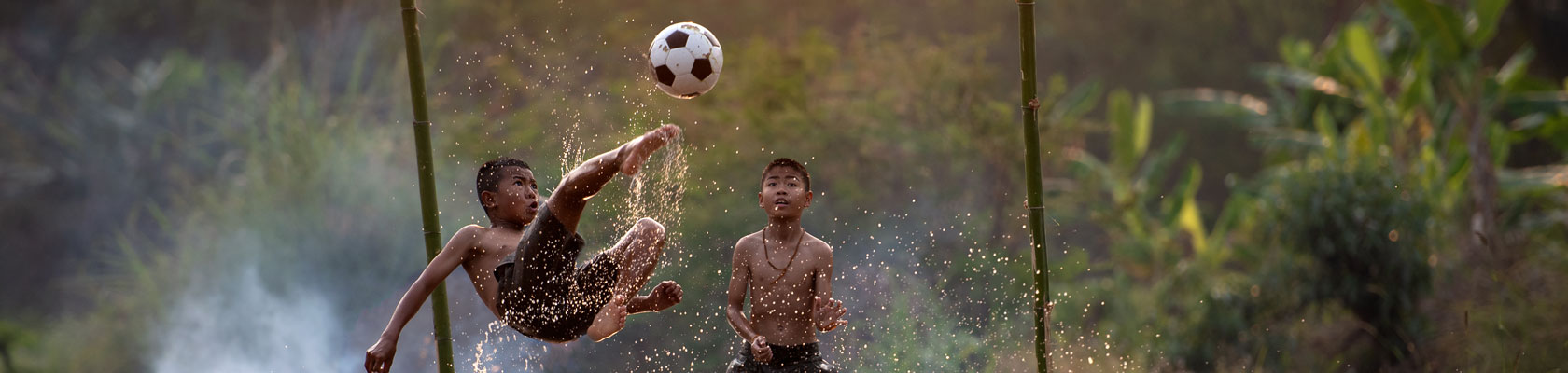 Webinar: Monetizing Impact Dimensions of Material Issue Areas