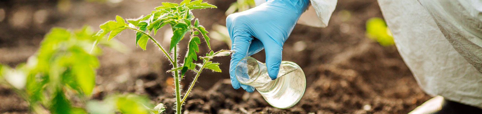 Webinar on Food and Agriculture Trends