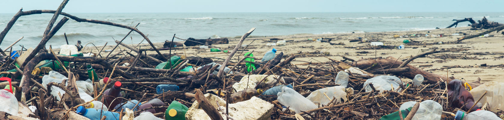 Creating a Circular Economy for Plastics