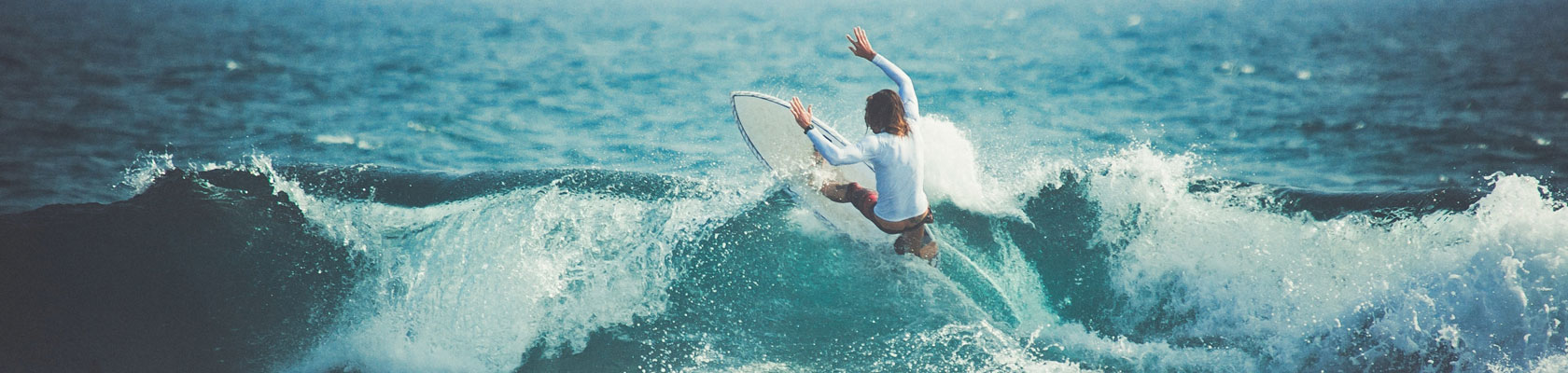 Rate the Raters 2018