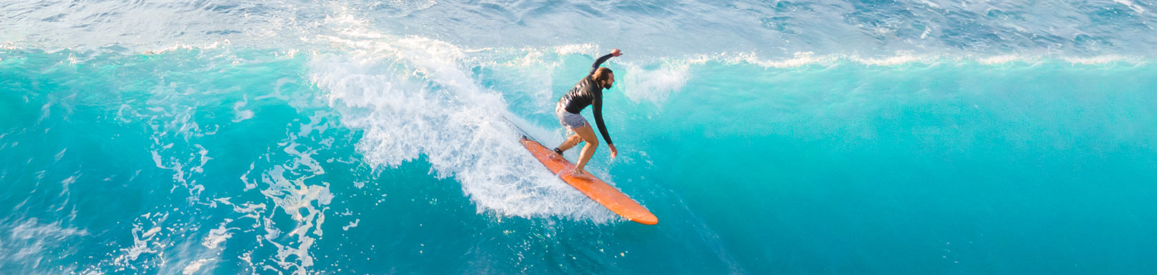 Webinar: Business Resilience Under COVID-19