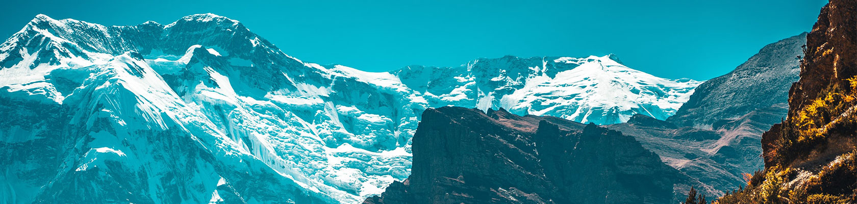 From Promise to Action: Decoding Climate Disclosure