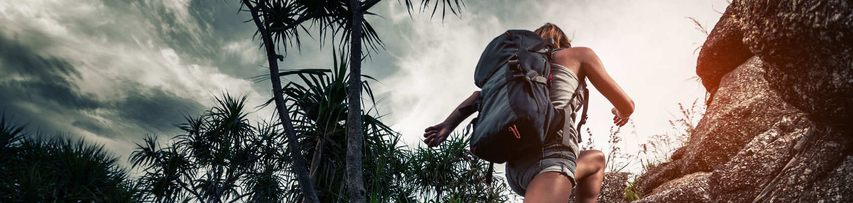 The 2017 Sustainability Leaders