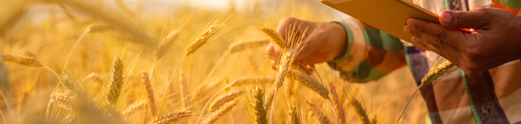 Key Takeaways from our Sustainable Food Systems Workshop